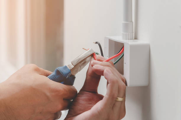 Best Surge Protection Installation  in Laurel Hill, NC